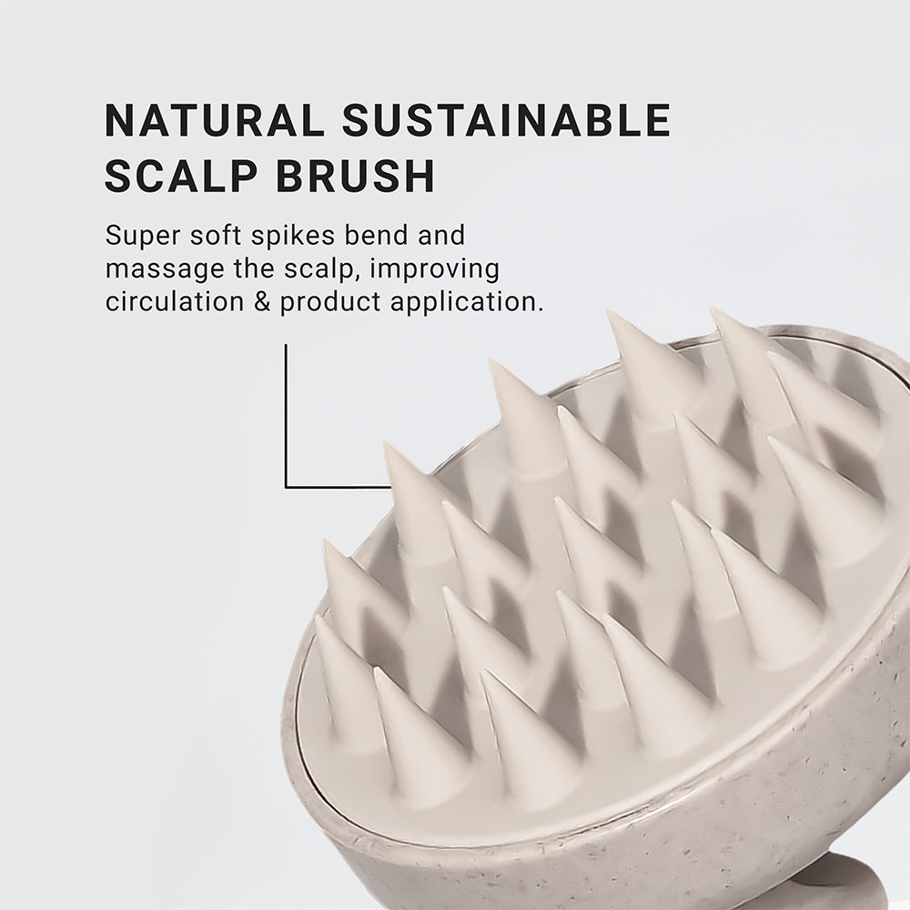 Scalp Brush