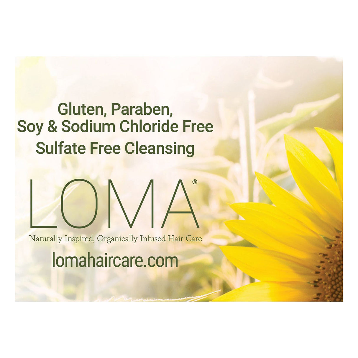 2023 Merchandising Box