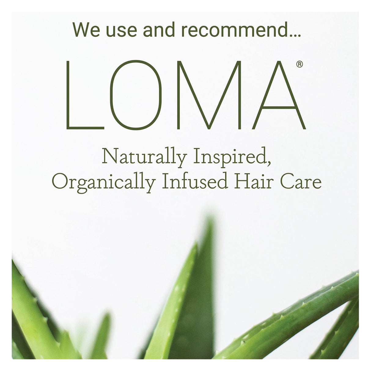 2023 Merchandising Box