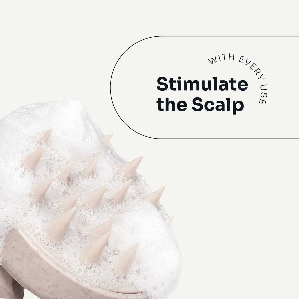 Scalp Brush